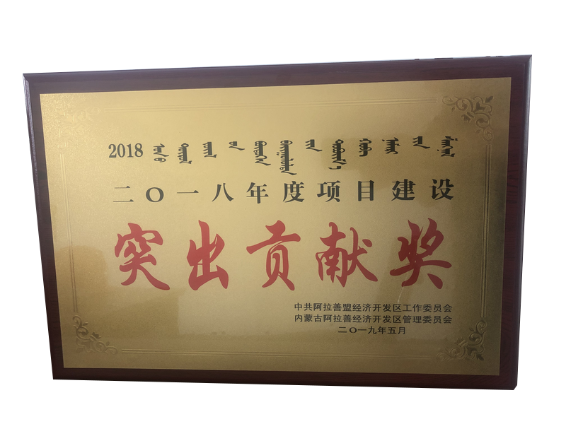 突出貢獻獎